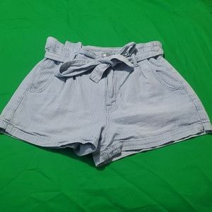 American Eagle Mom Short